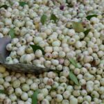 Bacche di mirto in infusione, pronte per la preparazione di un rimedio naturale.