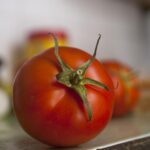 Gazpacho fresco con pomodori maturi, servito in una ciotola, decorato con erbe aromatiche.
