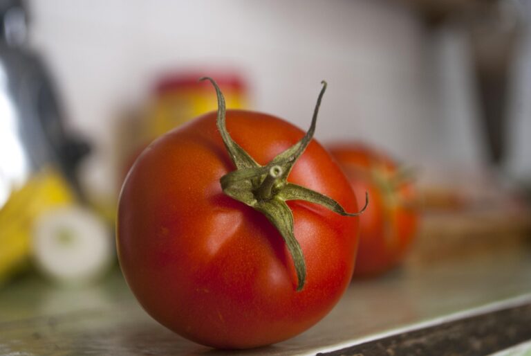 Gazpacho fresco con pomodori maturi, servito in una ciotola, decorato con erbe aromatiche.