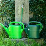 Orto irrigato con metodi sostenibili, senza acqua corrente, in un contesto di giardinaggio naturale.
